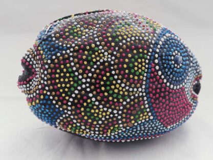 Cocco Pesce - immagine 10
