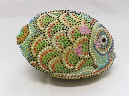 Cocco Pesce - immagine 12