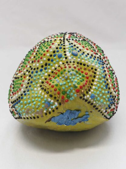Cocco Pesce - immagine 14