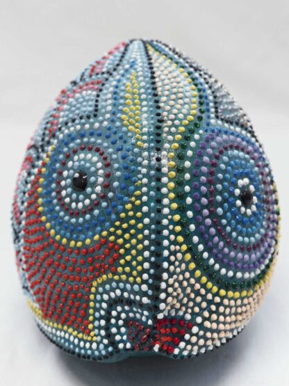 Cocco Pesce - immagine 15
