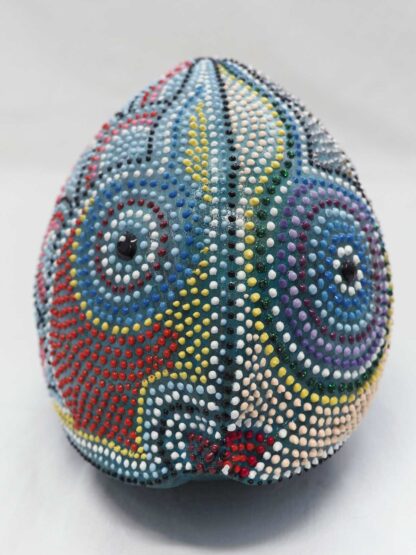 Cocco Pesce - immagine 16