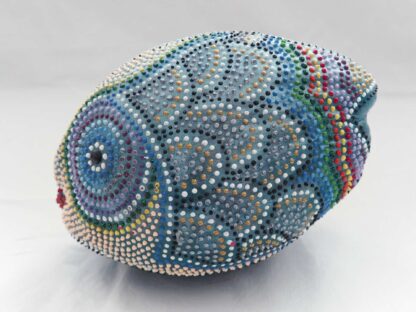 Cocco Pesce - immagine 18