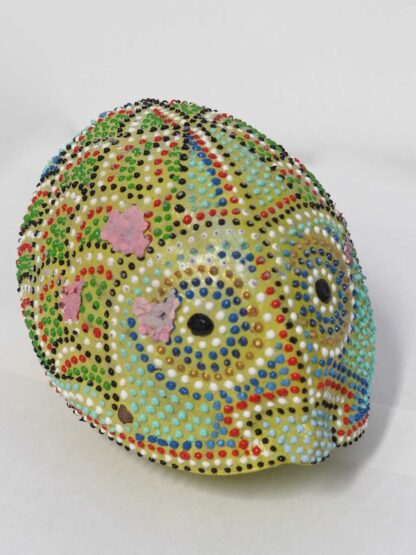 Cocco Pesce - immagine 25