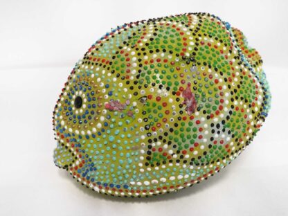 Cocco Pesce - immagine 26