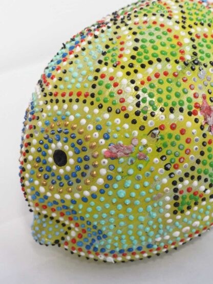Cocco Pesce - immagine 27