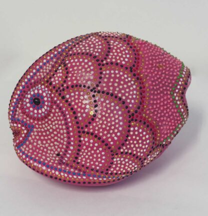 Cocco Pesce - immagine 28