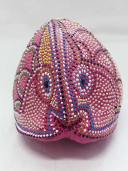 Cocco Pesce - immagine 2