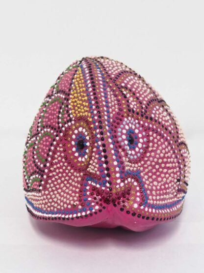 Cocco Pesce - immagine 29