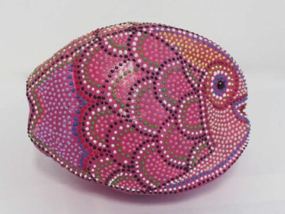Cocco Pesce - immagine 30
