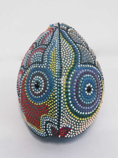 Cocco Pesce - immagine 31