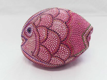 Cocco Pesce - immagine 3
