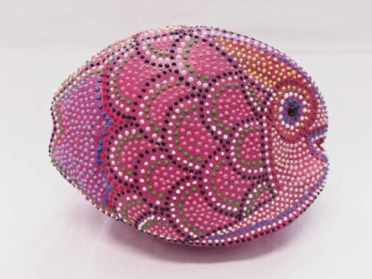 Cocco Pesce - immagine 4