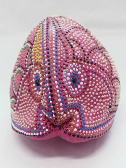 Cocco Pesce - immagine 5