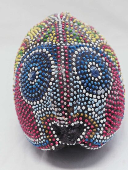 Cocco Pesce - immagine 7