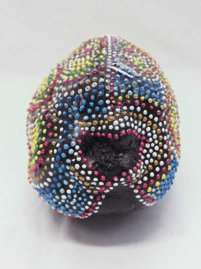 Cocco Pesce - immagine 8