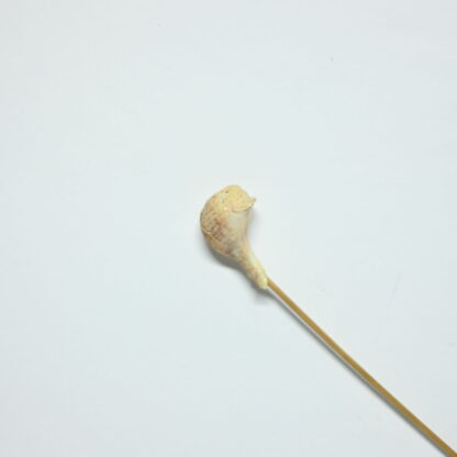 Fermacapelli in Legno con Conchiglie - immagine 3